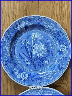 6 Spode Blue Room Dinner Plates Collection Floral Excellent 10 1/2