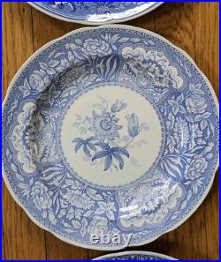 6 Spode Blue Room Dinner Plates Collection Floral Excellent 10 1/2