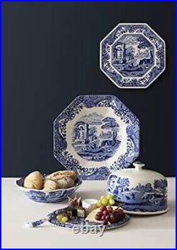 Blue Italian 2 Piece Serving Platter with Dome Cover, Multifunctional Tray fo